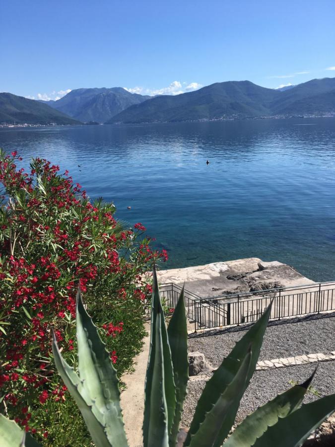 Apartment Tri Kiparisa Tivat Bagian luar foto